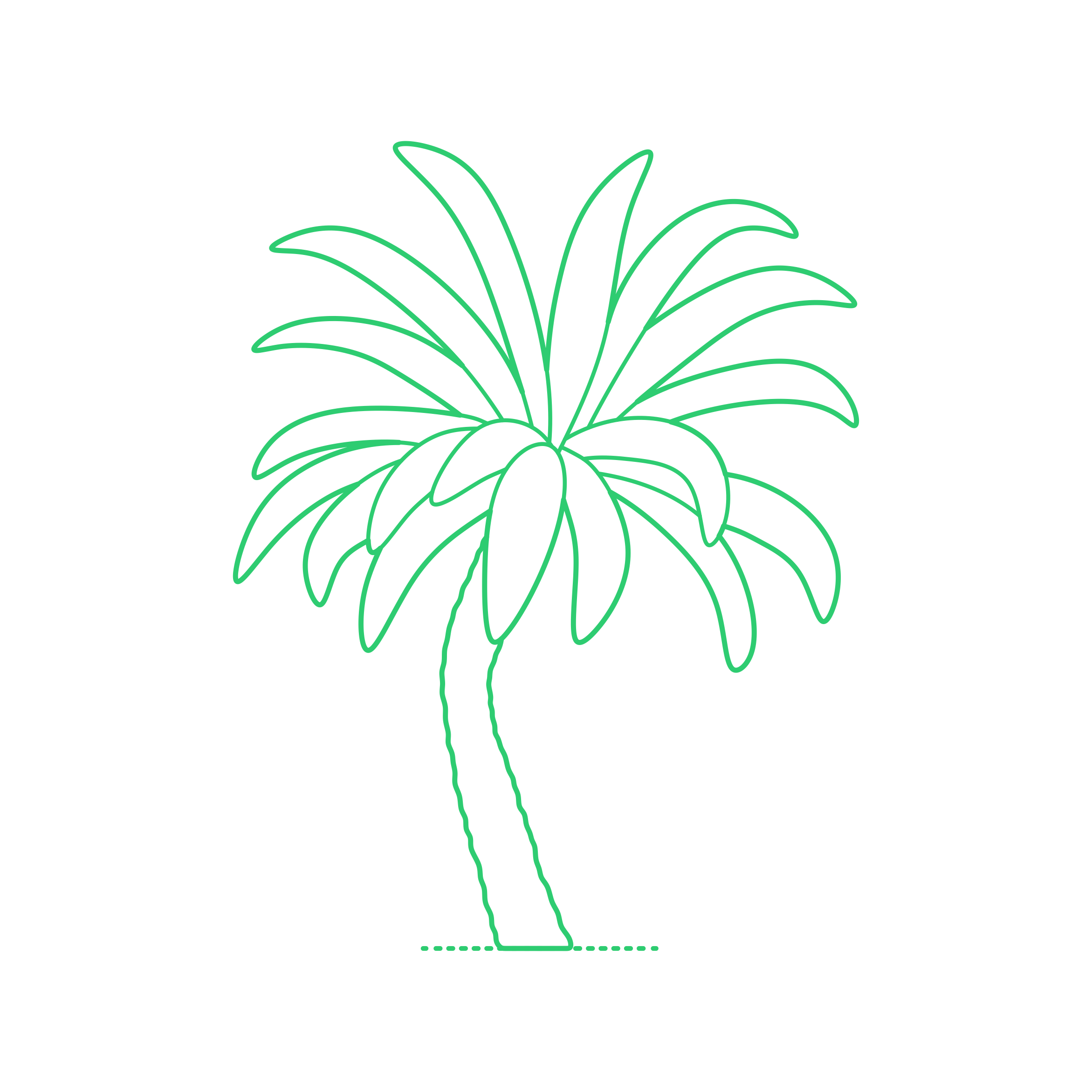 Plants Cycads Eastern Cape Giant Cycad Line Tracing Svg Vector Free Vectors